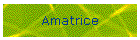 Amatrice