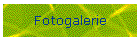Fotogalerie